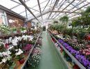 fleuriste leloup genval
