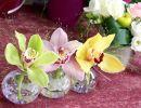 fleuriste leloup genval
