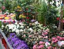 fleuriste leloup genval