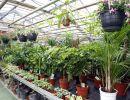 fleuriste leloup genval