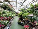 fleuriste leloup genval