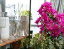 fleuriste leloup genval