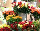 fleuriste leloup genval