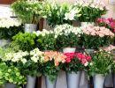 fleuriste leloup genval