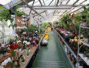fleuriste leloup genval