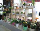 fleuriste leloup genval