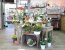 fleuriste leloup genval