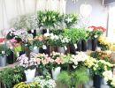 fleuriste leloup genval