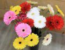 fleuriste leloup genval