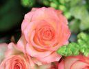 fleuriste leloup genval