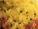 fleuriste leloup genval