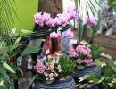 fleuriste leloup genval