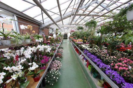 fleuriste leloup genval