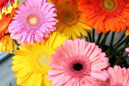 fleuriste leloup genval