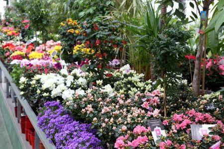 fleuriste leloup genval