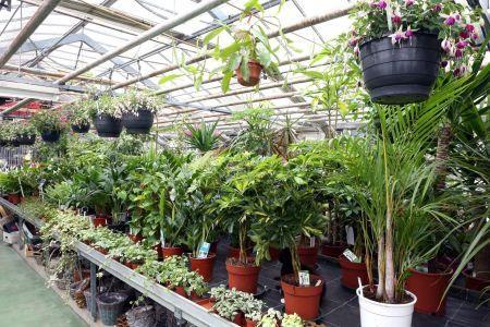 fleuriste leloup genval