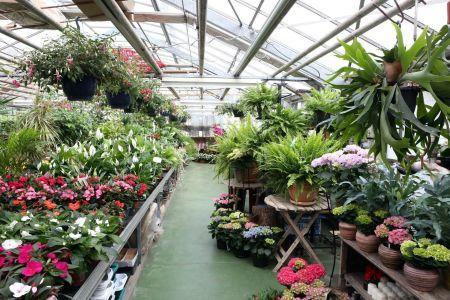 fleuriste leloup genval
