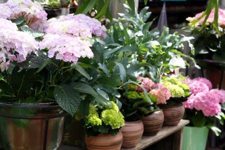 fleuriste leloup genval