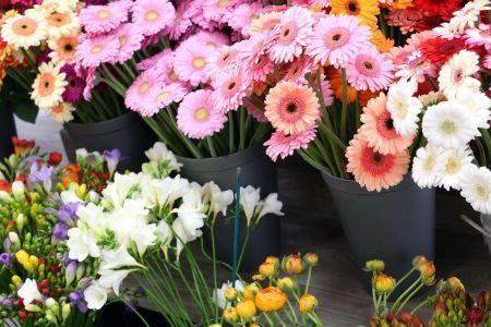fleuriste leloup genval