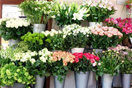 fleuriste leloup genval