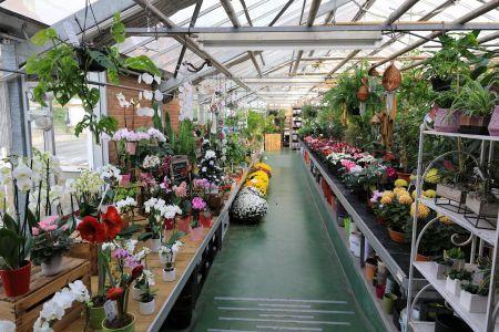 fleuriste leloup genval