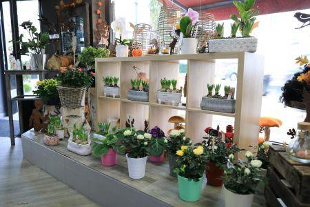 fleuriste leloup genval
