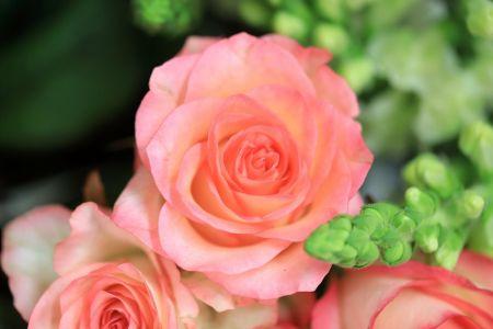 fleuriste leloup genval