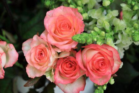 fleuriste leloup genval