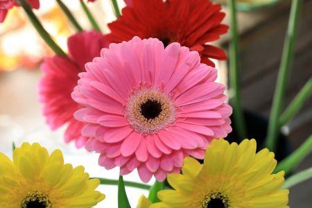 fleuriste leloup genval