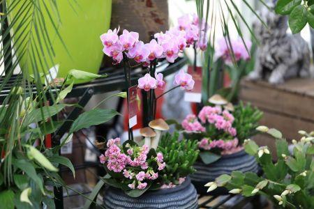 fleuriste leloup genval